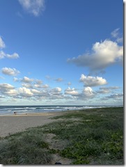 S__44064780_0