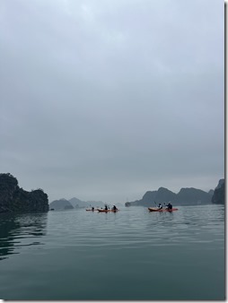 S__44695568