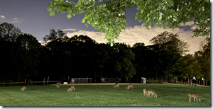 Screenshot 2025-08-28 212346