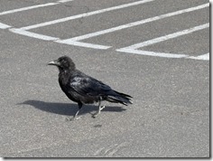 20250922_162047317_iOS