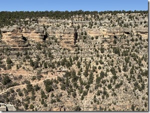 20250923_171111678_iOS