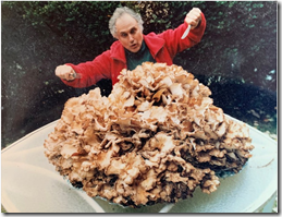 Screenshot 2025-10-21 220224