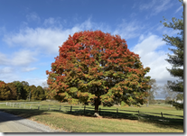 Screenshot 2025-10-28 102236