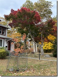 20251105_174540684_iOS