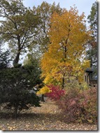 20251105_174812774_iOS