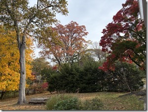 20251107_135328886_iOS