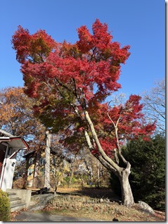 20251118_145355771_iOS