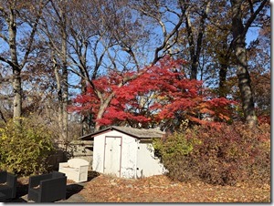 20251118_145505827_iOS