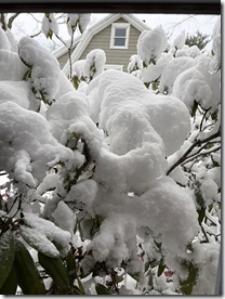 20251214_171005752_iOS