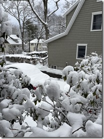 20251214_171043856_iOS