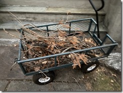 20251226_213830268_iOS