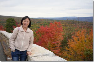 Screenshot 2025-12-17 132214