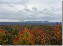 Screenshot 2025-12-17 132249