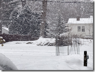 Screenshot 2026-01-25 101800