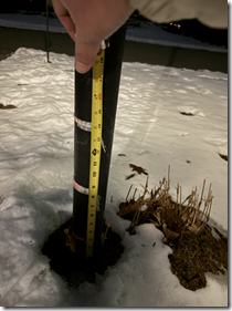 Screenshot 2026-01-25 101816