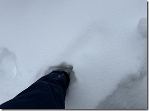 Screenshot 2026-01-28 101337