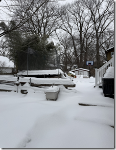 Screenshot 2026-01-28 101417