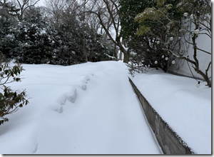 Screenshot 2026-01-28 101453