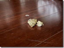 20260222_182047691_iOS