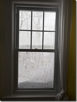 20260223_144012240_iOS