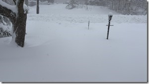 20260223_144656040_iOS