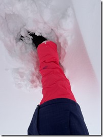 20260223_191037218_iOS