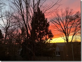 20260308_230748098_iOS