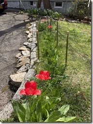 20260414_170622420_iOS