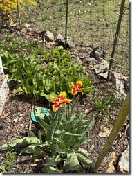 20260414_170654486_iOS