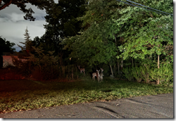 Screenshot 2026-10-03 182010